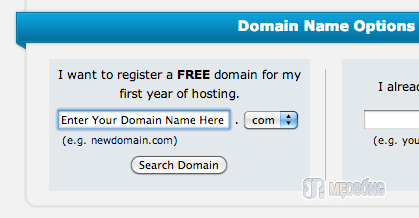 domain name options