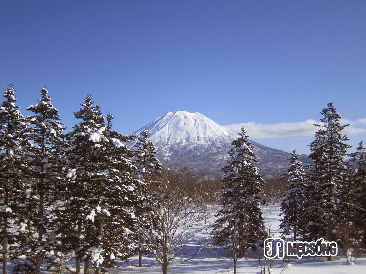 Niseko Japan