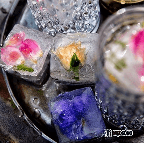 Melting flower ice cubes, Tigertessy, Instagram