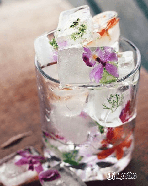 Photos of Flower Ice Cubes, Joanna August, Instagram